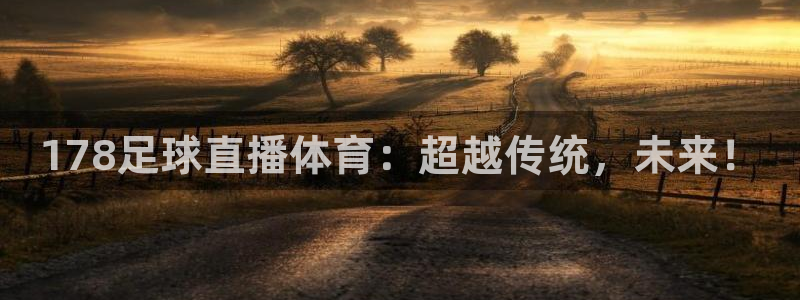 178足球直播体育：超越传统，未来！