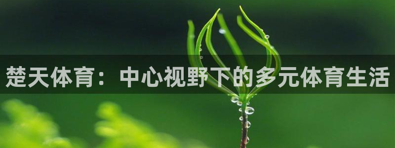 楚天体育：中心视野下的多元体育生活