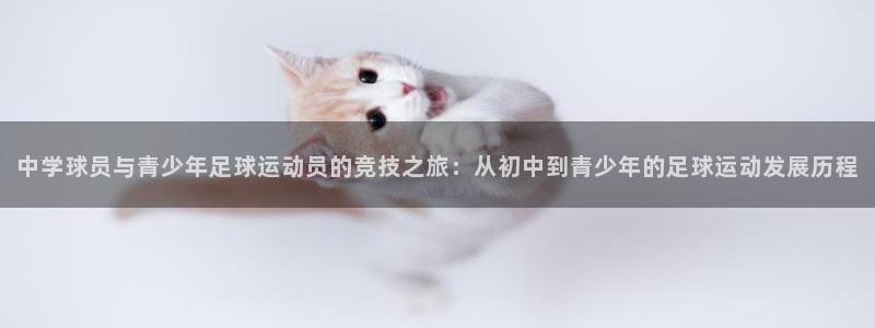 中学球员与青少年足球运动员的竞技之旅：从初中到青少年的足球运动发展历程