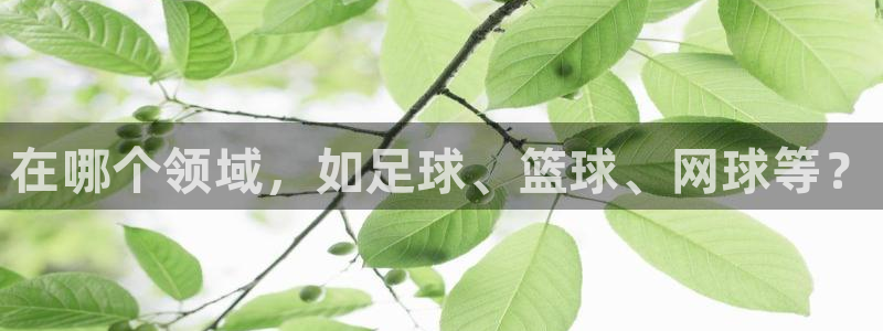 98nba录像回放完整版：在哪个领域，如足球、篮球、网球等？