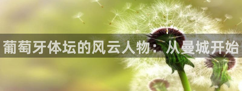 98篮球直播免费看回放