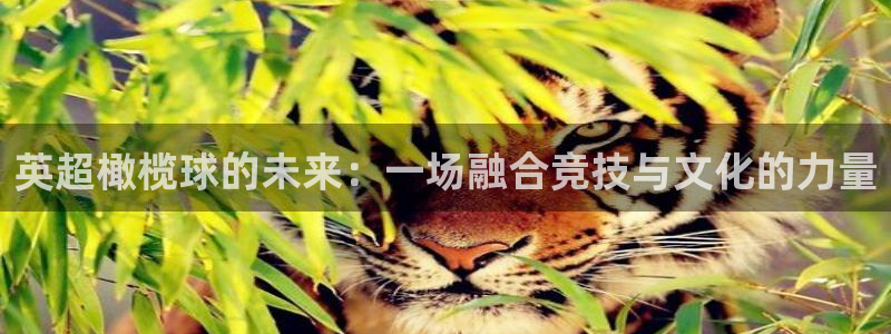 98nba全程回放录像免费