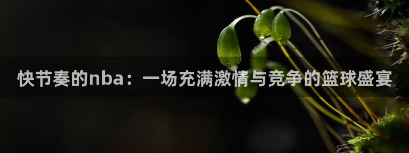 nba录像回放98篮球网直播