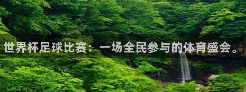 98nba中文录像回放：世界杯足球比赛：一场全民参与的体育盛会。