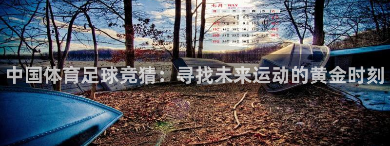 98中文网nba篮球录像回放：中国体育足球竞猜：寻找未来运动的黄金时刻